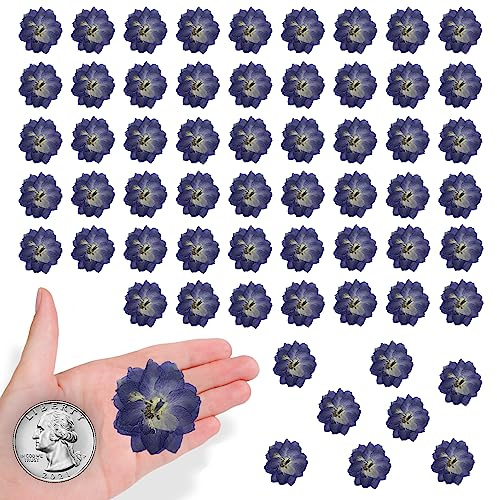 HEISENLIN Purple Dried Pressed Flowers Big Larkspur for Resin Crafts Embellishments, 60PCS Natural Pressed Flowers for Resin Jewelry DIY Phone Case Cake Candle Making Home Wedding Decoration