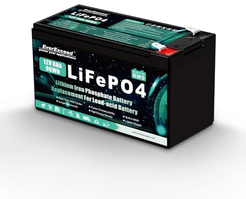 EverExceed 12V 8Ah Wiederaufladbare Lithium Batterie, 12v Batterie mit integriertem BMS, 3000+ Tiefe Zyklen Batterie 12V für UPS, Fischfinder, Rasenmäher, Einbruchmeldeanlage, Solarpanel