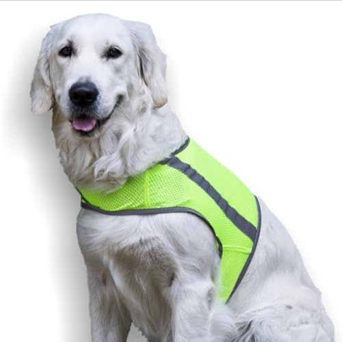 FinNero ATTE Warnweste für Hunde, Reflektierende, Leichte & Atmungsaktive Sicherheitsweste mit Verstellbarem Klettverschluss für Beste Sichtbarkeit im Dunkeln – S, Gelb