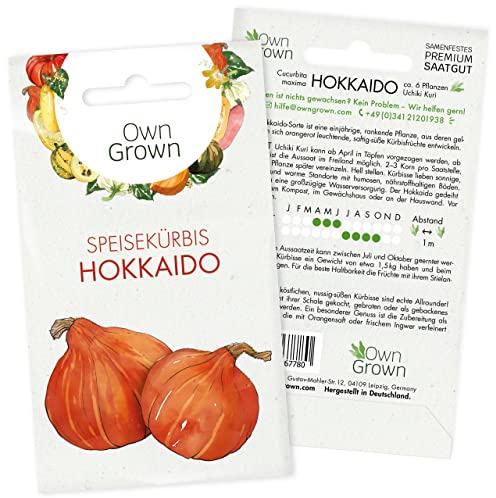 Hokkaido Samen: Premium Uchiki Kuri Hokkaido Kürbis Saatgut zur Anzucht von 6 Kürbis Pflanzen – Gemüse Samen für die Hokkaido Kürbis Pflanze – Kürbissamen Hokkaido – Hokaido Samen Gemüse von OwnGrown
