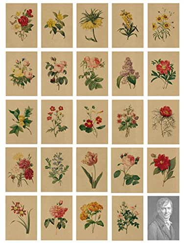24 Postkarten,Vintage Postkarten,Postkarten Blumen Vintage, Postkarten Set,Kraftpapier Postkarte mit Schöner Blumensprache Gedruckt auf Kraftpapier