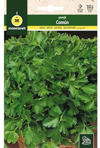 Mascarell Semillas, PREZZEMOLO COMUNE, Semi da orto, Orto, Piante da orto, 15 grammi, Crea il tuo Orto Urbano e Giardino Domestico, Semi da Orto, 15 Grammo