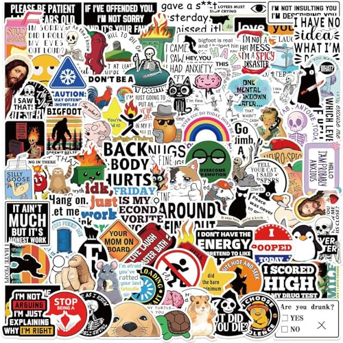 100 Stück Lustige Sticker Set,Graffiti Anime Aufkleber,Wasserfeste Vinyl Scrapbook Stickers für DIY Laptop Auto Motorrad Fahrrad Skateboard Kühlschrank