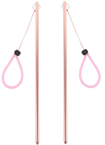 BCOATH 2 Pezzi Bastoni Immersione Subacquea in Lega di Alluminio con Lanyard Puntatori per Esplorazione Subacquea e Attrezzi per Immersioni Scuba Resistenti e Facili da Usare