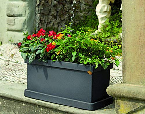 FIORIERA CASSETTA BERENICE IN RESINA CON SOTTOVASO DA 60 CM