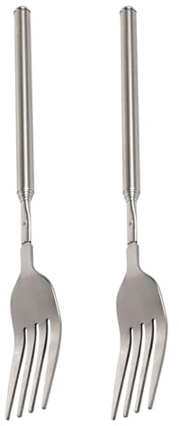QUEENYARD Lot de 2 fourchettes télescopiques extensibles en acier inoxydable pour barbecue, camping