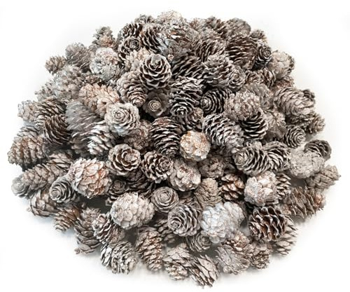 Kesxaus Weihnachten Tannenzapfen Kunstschnee Tannenzapfen 100Stück ca.2-3cm | Weiß Mini Tannenzapfen Weihnachtsschmuck für Weihnachtsdeko innen Weihnachtsbaum Deko Winterhochzeit Partei