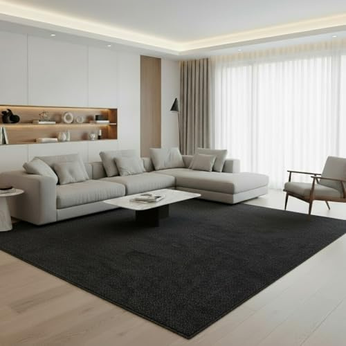 Jimri Tapis de Salon uni - Tapis uni pour Chambre d'enfant, Chambre à Coucher, Bureau, Couloir et Cuisine - Tapis à Poils Courts Anthracite/Noir - Taille : 120 x 170 cm