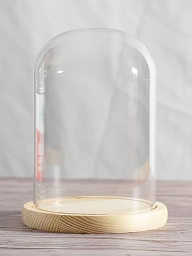 COYOUCO Dia10cm Glass Cloche Dome Display with Solid Wood Base for Displaying Plants, Ornaments, Figurines, Height22/25/30cm,Dia10*H22cm