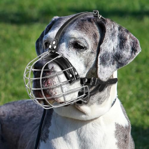 Bozal de Perro de Metal con Correas de Cuero, Pitbull, Gran Danés, Rottweiler, Cesta de Alambre Seguro, Transpirable, Ajuste Ajustable para Perros Grandes (Plata)