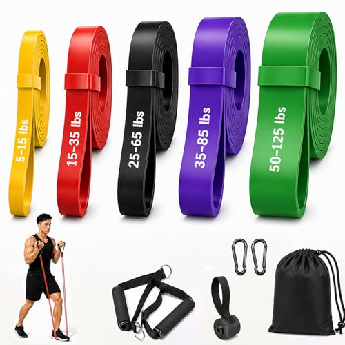 HSIULMY Resistance Bands Set for Pull Up Assist, 5 Levels Exercise Bands with Handles & Door Anchor, Heavy Duty Workout Bands for Strength Training, Home Gym Full Body Workout for Men Women