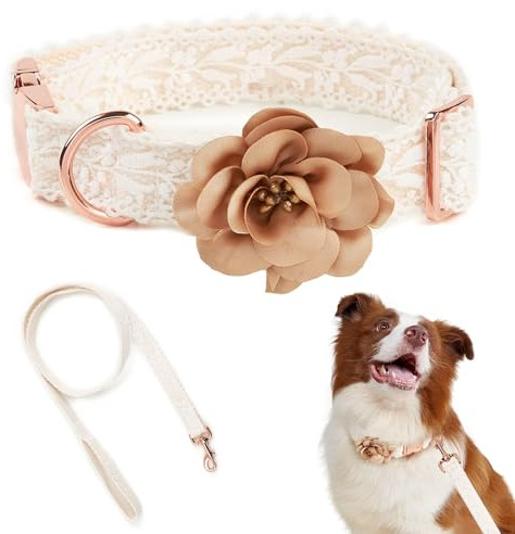 Spitzen-Hundehalsband-Set, modische Blumen, Welpen, Katzen, Hundehalsband, Kunst, Bestickt, personalisierbar, verstellbar für kleine, mittelgroße und große Hunde (groß)
