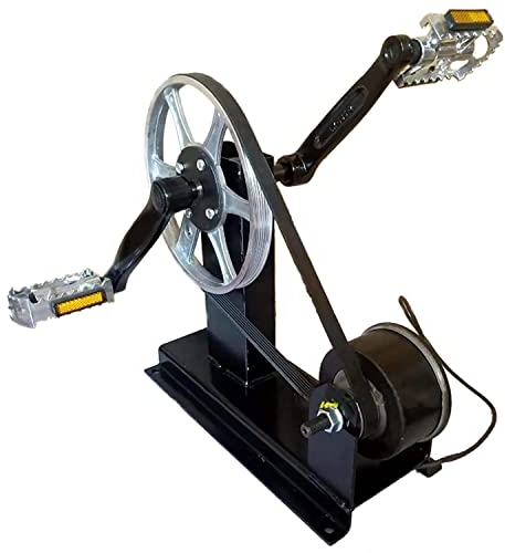 AALGO Generatori a Pedale 300W,Generatore di Corrente a Pedali,Generatori Senza Spazzole Generatore di Cyclette,Uscita DC 0-50V,Facile da Trasportare in Viaggio e di Emergenza,Style-1