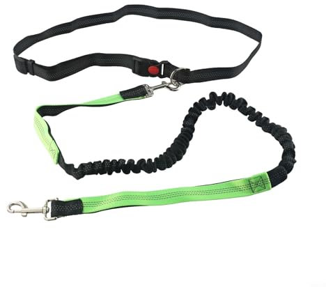 Ergonomischer Griff, verstellbare Länge, Hundeleine mit reflektierendem Streifen und multifunktionalem Design (grün)