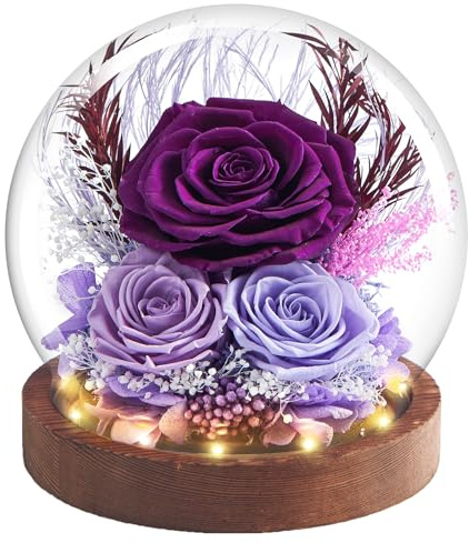 DN DECONATION Konservierte Ewige Rose im Glas Lila mit LED-Lichtern Infinity Blumen als Geschenk für Mama Oma Freundin für Valentinstag Muttertag Geburtstag Jahrestag Dekoration