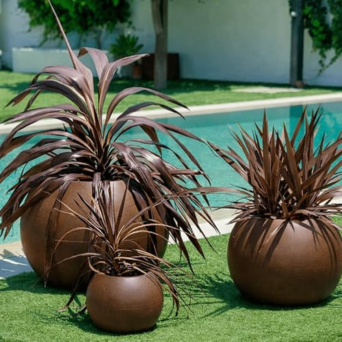 newgarden Runder Blumentopf für Blumen und Pflanzen, Dahlie, sehr robust, für den Außenbereich, Größen erhältlich. Einschließlich Wasserabflussreserve. Aus Polyethylen in Spanien