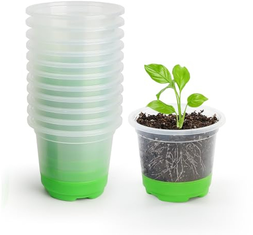 MIXC Anzuchttöpfe 12 Stück 10cm Pflanztöpfe Transparent mit Silikonsockel Wiederverwendbar Blumentöpfe aus Kunststoff für Pflanzen Blumen Gemüse,Grün