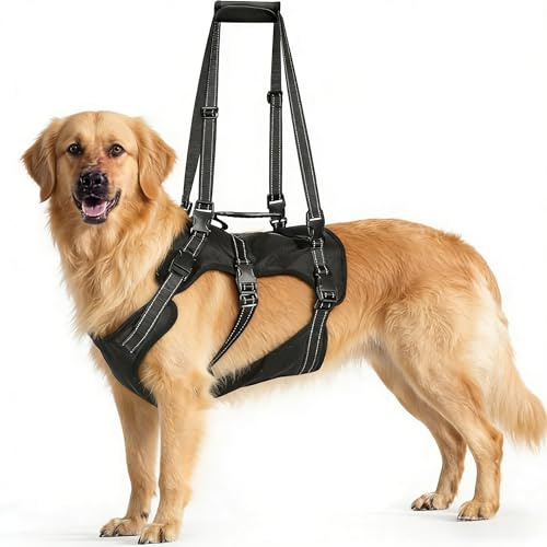 BENCMATE 2-in-1 Hundegeschirr mit Hebehilfe - Profi Hebegeschirr für alte Hunde & Reha nach OP - Verstellbare Tragehilfe bis 45kg, Atmungsaktiv & Reflektierend, Schwarz L