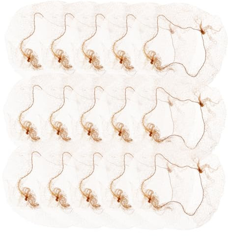 DRESSOOS 50stücke Haarnetz Für Haarknoten Transparente Haarknotenabdeckung Für Damen Geeignet Für Ballett Pflegeberufe Und Cosplay Mit Lang Für Tragen Arbeit