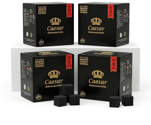 Caesar Premium Naturkohle 28mm Würfel – 100% Natürliche Kokosnuss Kohle-Briketts für Grill & BBQ (4kg)