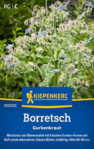 Kiepenkerl Borretschsamen Gurkenkraut 1012250, Kräutersaat | Wuchshöhe 60-100 cm, aromatisch, einjährig