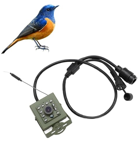 Garsent Caméra de sécurité Extérieure Intérieure, Caméra Oiseaux avec Vision Nocturne, Caméra Extérieure à Faible Bruit avec Objectif Grand Angle pour iOS Android (Capteur CMOS IMX307 2MP)