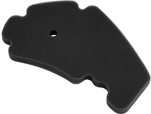 AHL Motocicleta Filtro de Aire compatible con Aprilia Atlantic/Arrecife 125 2003-2012/Sportcity 125 2004-2008/Sportcity 125 CUBE 2004-2010/SR 125 MAX 2011-2013/SR 125 MOTARD 2012-2013