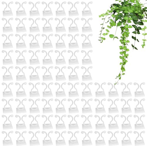 Generico Wandclips für Pothos-Pflanzen – Praktische Gartenklammern – selbstklebende Clips 100 x befestigt, Dekoration für Innen- und Außenbereiche, für Tomatenpflanzen, Weinreben, Gurkenpflanzen