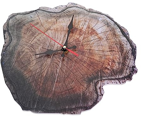 MUSISALY Orologio Da Parete Anello Annuale Moderno E Decorativo Realizzato in Materiali Resistenti Senza Batteria