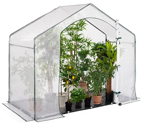 IDMarket - Serre d'hivernage Maison 200 x 80 x 160 cm Balcon et terrasse