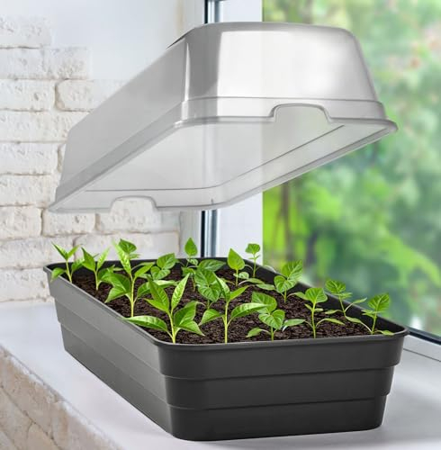 Aufzuchtbeet mit Deckel Beet Frühbeet Anzuchtkasten Mini Gewächshaus Zimmer Anzucht mit Haube Zimmergewächshaus 51cm Pflanzen Setzling Starter Tabletts Treibhaus Anzuchtschale