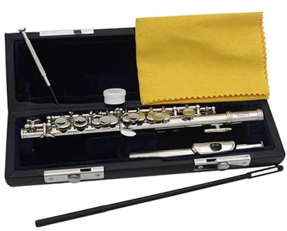 QUXVUIS Piccolo Flöte in C Dur, leicht zu spielen, ideal für Anfänger. Inklusive Hartschalenkoffer und Zubehör. Traditionelles Instrument mit 16 Löchern, Silber, 31.5 x 1.3 cm