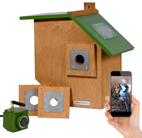 dobar® Großer Nistkasten Flachdach aus Holz inklusive HD WiFi-Kamera und App mit austauschbaren Einfluglöchern - 35,5 x 22,5 x 38,5 cm - Grün-Braun
