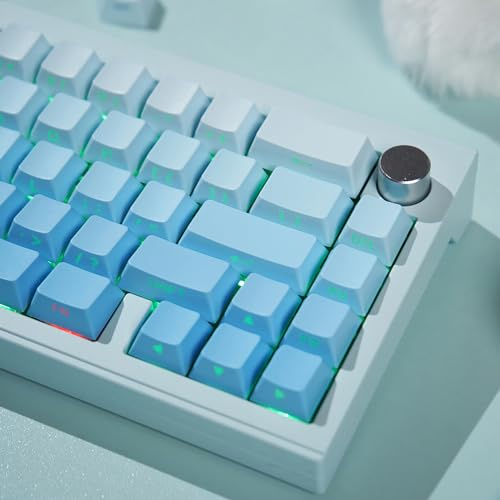 133 Tasten PBT Doubleshot Keycaps Cherry Profil Tastenkappen | Passend für 60% 65% 75% 95% Cherry Mx Switches Mechanische Tastatur