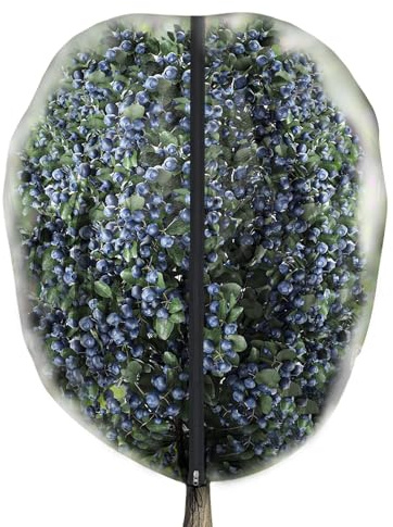 Filet pour Arbres Fruitiers | Couverture Maillée pour Myrtilliers,Filet Respirant pour Arbres Fruitiers Figuier Serre Jardin à Baies Potager Suralélevé Myrtille Tomate
