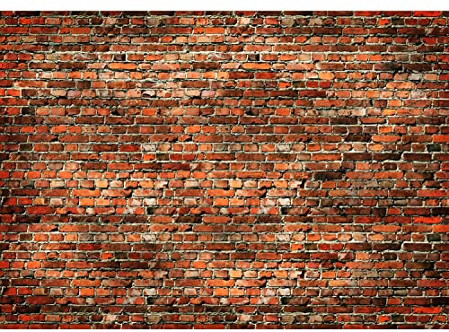 Runa Art Papier peint intissé mur de briques 352 x 250 cm Toison Mur XXL Tableaux Muraux Tapisserie Photo Décoration Murale Salon Chambre rouge 9480011a