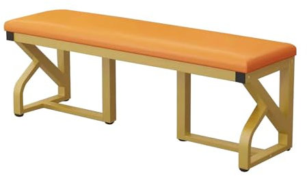 RTYHN Schuhbank mit Sitzkissen Schuhablage Polsterbank mit Metallrahmen Sitzbank Leder Essbank Flur Bank für Wohnzimmer Eingangsbereich