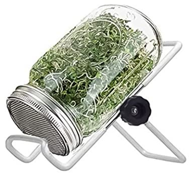 Dorccsi Kit de Germination de graines Germination Mason Jars avec Couvercle et Support pour la Culture germes Brocoli, Luzerne et Haricots, Pot 500 ML