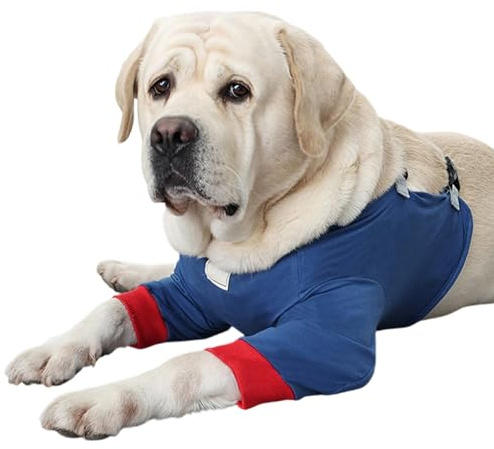 Rnyrn Protector De Codo para Perros,Manga Ajustable Anti-Lamido De Recuperación con Pad De Algodón Suave | Vendaje para Rodilla Y Patas Lesionadas De Perro | para Hogar, Apartamento, Exterior,