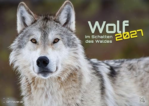 Wolf – Im Schatten des Waldes - 2027 - Kalender DIN A2: Der Wandkalender mit den schönsten Wolf-Fotografien für das Jahr 2027 im extragroßen Format DIN A2 (ca. 60 x 42 cm)!