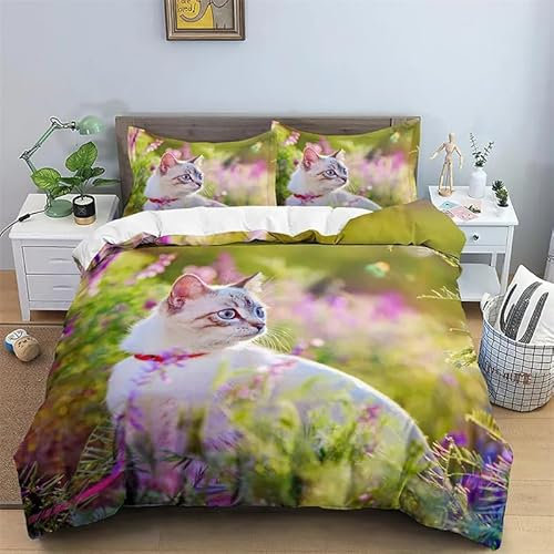 CHCHNXY Bettwäsche 200x200,Katze 3 Teilig Weich Und Atmungsaktiv Bettwäsche-Set,Für Jugendliche Erwachsene 1 Bettbezüge Mit Reißverschluss Und 2 Kissenbezug 80x80cm