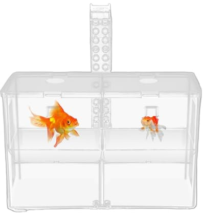 Fisch Isolierbox Aquarium – Transparente Doppelkammer, Effiziente Trennung, Flexible Einstellungen, Sicherer Brutbereich | Ideal Für Guppy Betta Lebendfutter Süßwasser Salzwasser Aquaristik