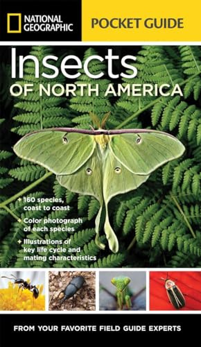 National Geographic Pocket Guide to Insects of North America: From Your Favorite Field Guide Experts