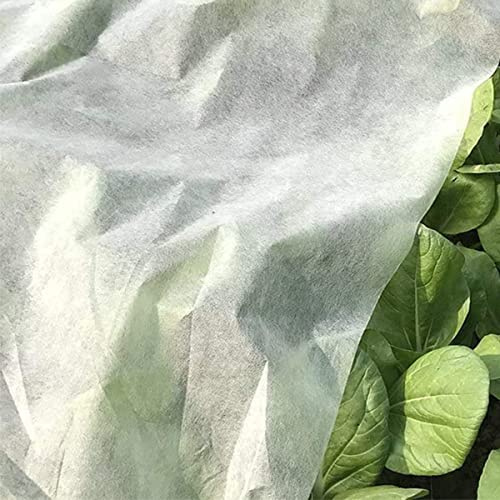 VIRSUS 1 Telo Antigelo da Giardino di Colore Bianco 2136, Peso 17 g/m², Telo Protezione Gelo, Freddo, Neve, parassiti, permeabile all'Acqua per Piante ortaggi Diverse Misure (1,6 x 10 Metri)