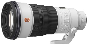 Sony FE 300 mm F2.8 GM OSS