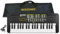 Bontempi | KeyRhythm - Tastiera Digitale a 37 Tasti, Passo 2 cm con Presa per Cuffie, Striscia Pentagrammata, Metronomo e Transposer, 53,4x19,9x6,9 cm