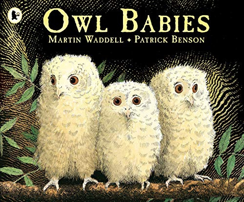 Owl Babies: Over two million copies sold - a heartwarming bedtime picture book story that comforts and reassures - also the perfect gift for toddlers and new parents