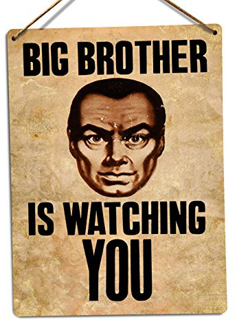 WTF | Big Brother Is Watching | Twine - Metal Wall Sign Plaque Art Inspirational