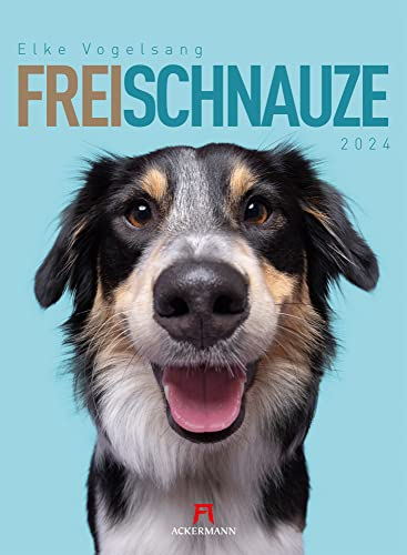 Frei Schnauze - Elke Vogelsang Kalender 2024, Wandkalender im Hochformat (33x45 cm) - Tierkalender / Hundekalender