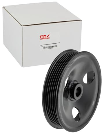 NTY Riemenscheibe Servopumpe passend für Viper Grand Wrangler |